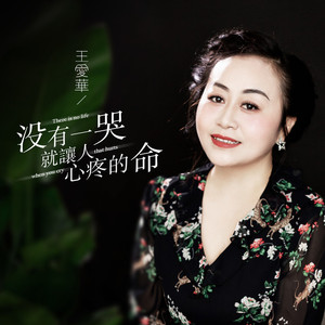 没有一哭就让人心疼的命 (伴奏)