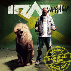 Gunfinger (Salute) [feat. Valiant & Beenie Man] [Remix]