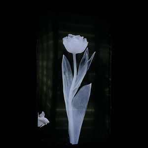 挚友（吉他弹唱）