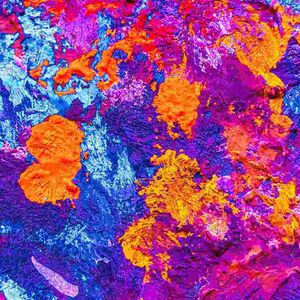 你好我好大家好