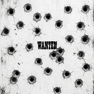 Wanted!
