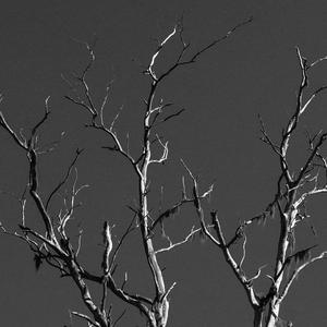 It All Builds Till There's Us