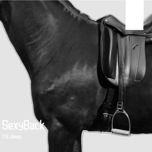 SexyBack （Slowed）