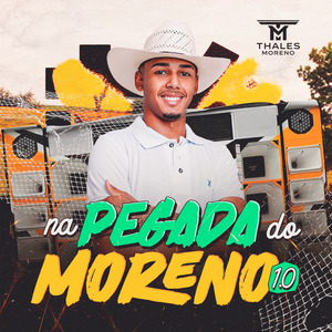 Botadinha