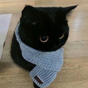 言不由衷与有恃无恐