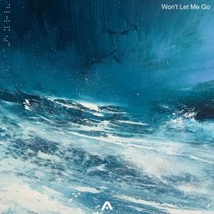 Won't Let Me Go