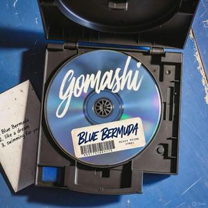 어항 속을 유영해