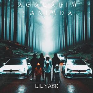AGALARIM YANIMDA