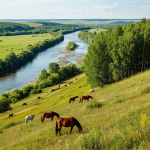 Родимый Дон