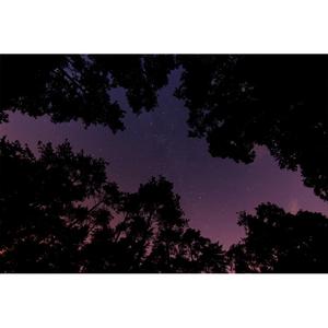 이 밤에 무언가