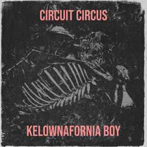 Circuit Circus