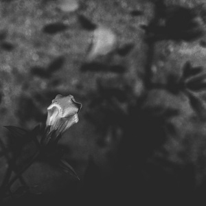 내 눈에 남은 너 (Inst.) You in my eyes (Inst.)