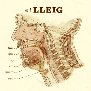 Fins que no em quedi veu