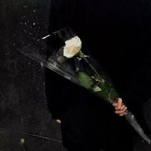 不为谁而作的歌