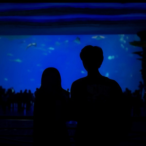 You're The One I See