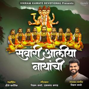 Sawari Aaliya Nathanchi