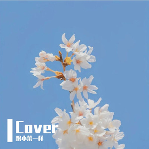 想念是凋谢的云