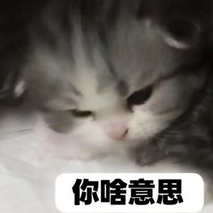 你啥意思 (ft.呆瓜sw)