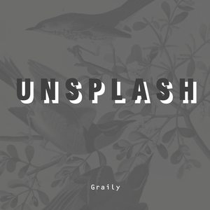 Unsplash