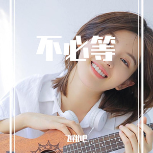 不必等-纯音乐