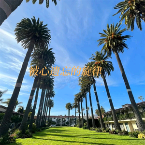 那一天、你要狠幸福