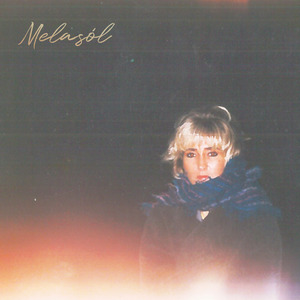 Venjulegur Maður