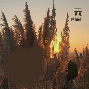 丢了你
