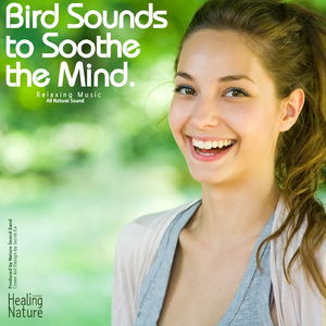 나무와 새들이 만들어 내는 화이트 노이즈