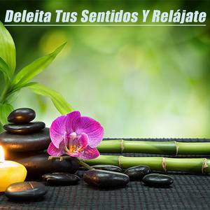 Deleita Tus Sentidos Y Relájate