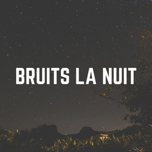 Bruit Brun Bruit Blanc, Pt. 2