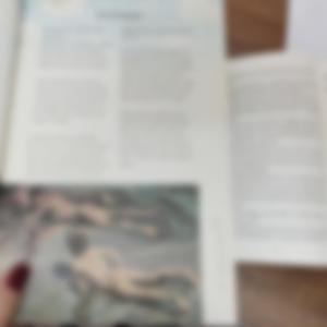 夜机_（翻自 乐游记乐队）