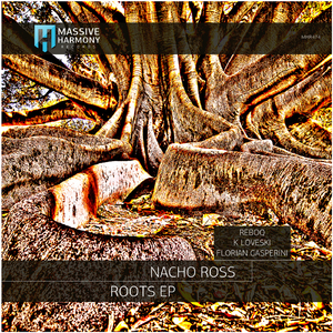 Raices (Reboq Remix)