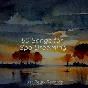 Echoes of Sanctuary's Song