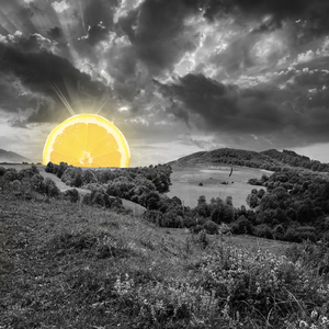 On the Planets Surface