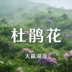 杜鹃花