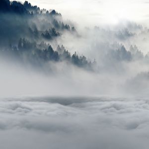 生命中的时光（cover：齐一）