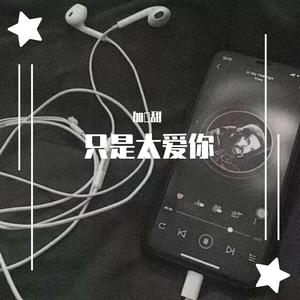 只是太爱你