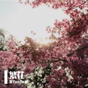 繁花（加速版）