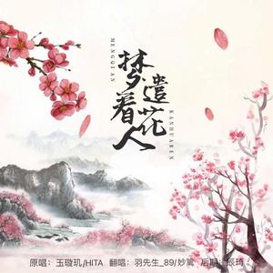 梦遣看花人