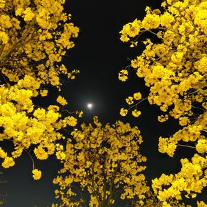 世界上有多少个你你我我