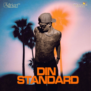 Din Standard