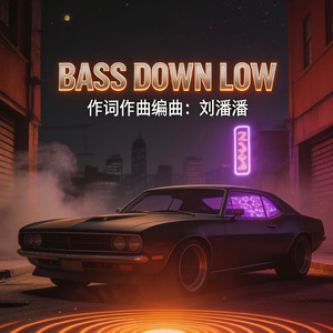 BASS DOWN LOW