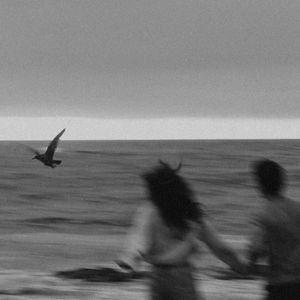 我们，不提后来