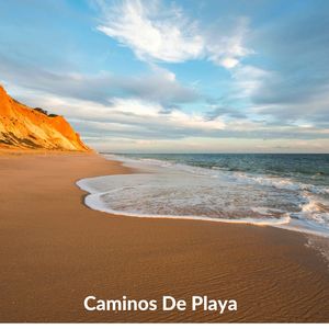 Promueve La Paz Y Tranquilidad