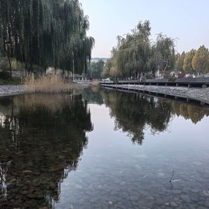 失恋的小静