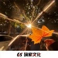 雨中的恋人们 (FK节奏)