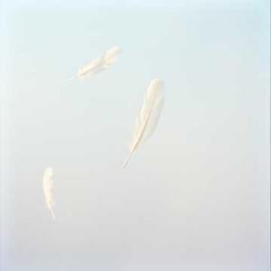 Quiet Whispers