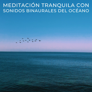 Grabaciones Binaurales De Playa