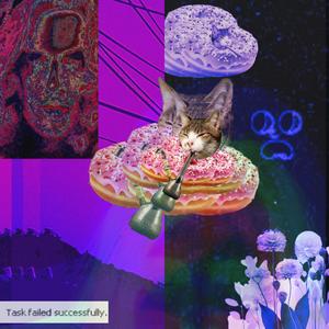 N0 0ne sl0wed d0wn