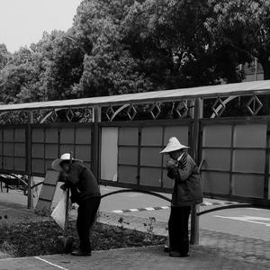 杀死那个石家庄人（翻自 万青）